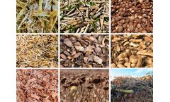 Why Biochar Production Instead of Composting Biomass