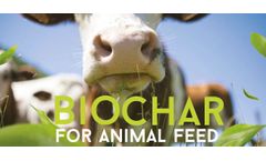 Biochar Animal Feed in Europe: Paving the Way for Sustainable Livestock Agriculture