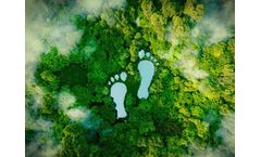 Biochar: Cultivating Carbon Solutions for a Greener Tomorrow