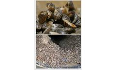 Control Solutions for Paper Mills