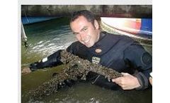 BioBullets - Control Services