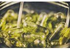 Coir Growing Media for Medicinal Cannabis Cultivation