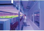 Research & Development Services