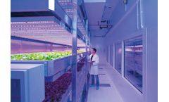 Research & Development Services