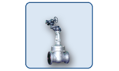 Valvospain - Bolted Bonnet Gate, Globe and Check Valves