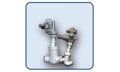 Valvospain - Pressure Seal Gate, Globe & Check Valves