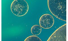 Profloc - Model C - Coagulant
