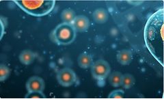 Microguard - Model A - Antiscalant/Antifoulant Bio-Growth Inhibitor