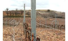 Neovid - Novel Vine Arbor Conduction System