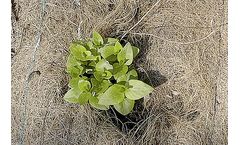 iGGmat - Mulch Blanket