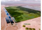 Constructed Wetlands