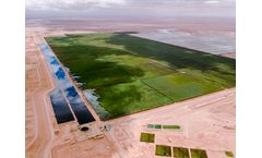 Constructed Wetlands