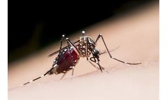 Monitoring Insects for Spread Disease