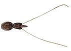 Monitoring Sea Lice