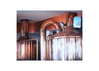 Process Steam System