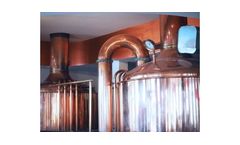 Process Steam System