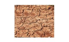 Harp - Carbon Offset Solutions