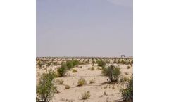 Desert Control - Solutions for Trees, Forests and Reforestation