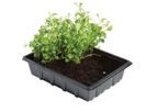Garland - Model W0006 - Professional Half Seed Tray