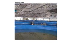 eWater - Fish Hatchery RAS System