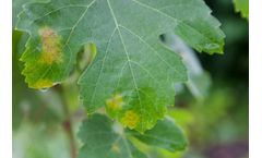 3A - Phytopathological Modeling Software