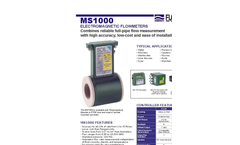 MS1000 Electromagnetic Flowmeter Data Sheet