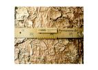 Hoskin - Model I-802-D1 - Tree Dendrometer