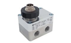 RIELS - Model PD33X - Pressure Differential Transmitter