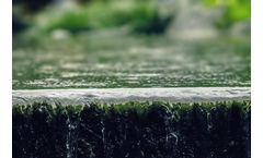 JNE - Sewer Bylaw Compliance Service