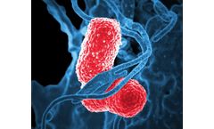 Does Wet and Dry Ice Blasting Kill Viruses and Bacteria?