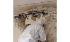 Wet Ice Blasting for Mold Remediation vs Dry Ice Blasting