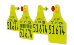 Caisley - Model FlexoPlus G/D - Visual Ear Tag