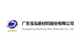 Guangdong Baohong New Materials Co., Ltd.