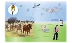 Roaming Application