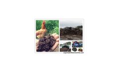 Chicken Manure Composting Fertilizer