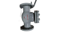Future - Model 19?76-Py16 GOST - Check Valve