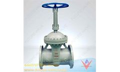 Tianjin - Model API - Gate Valves