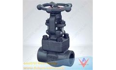Tianjin - Model ANSI A105N, 3/4IN, 800 LB, SW - Forged Gate Valve