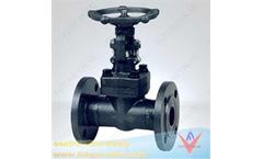 Tianjin - Model ANSI A105N, CL1500, API 602 - Flanged Gate Valve