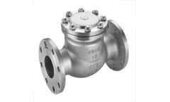 Future - Model 19-53 GOST - Check Valve