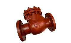 Future - Model 19?-53-Py40 GOST - Check Valve