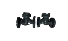 Future - Model 16-10-Py16 GOST - Check Valve