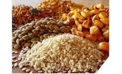 Dry bulk material processing for the feed & grain industry