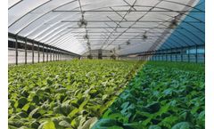 Serasan - Greenhouse Covering Film