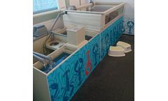 Todd Fish - Model Lobster - Hatchery Systems