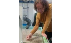Maintenance Service for Research Aquaria