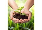 Winsome - Agriculture Grade/Fertilizer Grade Bentonite