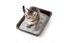 Winsome - Cat Litter Bentonite