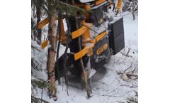 Risutec - Model L-Series - Professional Stand Tending with Biomass Aggregator