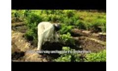 Renewable Energy for Productive Activities and Security in Chad Video